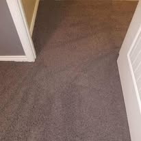After carpet cleaning 1