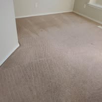After carpet cleaning 3