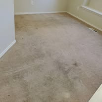 Before carpet cleaning 3